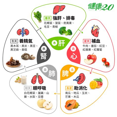 紅色食物五行|【中醫養生】五行五色食療：五色食物的健康奧秘